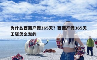 为什么西藏产假365天？西藏产假365天工资怎么发的