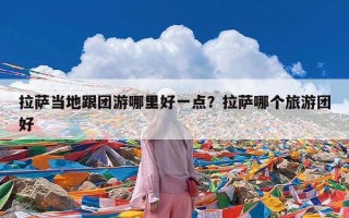 拉萨当地跟团游哪里好一点？拉萨哪个旅游团好