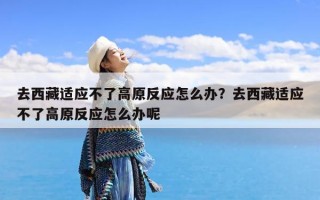 去西藏适应不了高原反应怎么办？去西藏适应不了高原反应怎么办呢