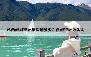 从西藏到拉萨车费是多少？西藏拉萨怎么走