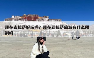 现在去拉萨好玩吗？现在到拉萨旅游有什么限制吗