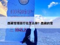 西藏雪措旅行社怎么样？西藏的雪
