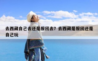 去西藏自己去还是报团去？去西藏是报团还是自己玩