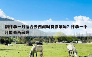 刚怀孕一月适合去西藏吗有影响吗？怀孕一个月能去西藏吗