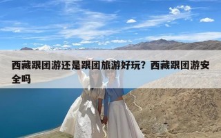 西藏跟团游还是跟团旅游好玩？西藏跟团游安全吗