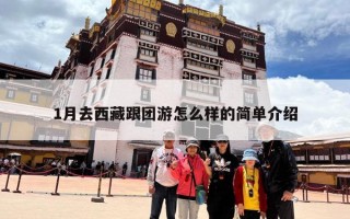1月去西藏跟团游怎么样的简单介绍