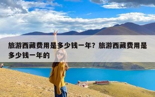 旅游西藏费用是多少钱一年？旅游西藏费用是多少钱一年的