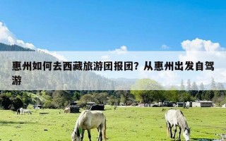 惠州如何去西藏旅游团报团？从惠州出发自驾游