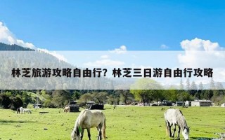 林芝旅游攻略自由行？林芝三日游自由行攻略