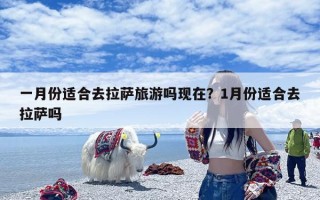 一月份适合去拉萨旅游吗现在？1月份适合去拉萨吗
