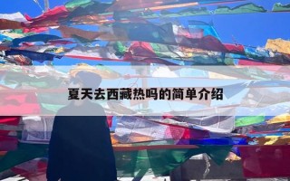 夏天去西藏热吗的简单介绍