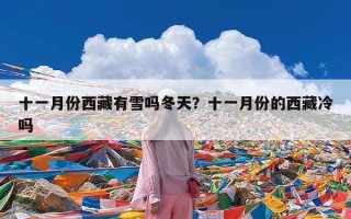 十一月份西藏有雪吗冬天？十一月份的西藏冷吗