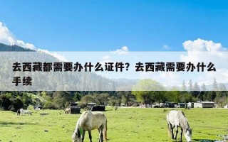 去西藏都需要办什么证件？去西藏需要办什么手续