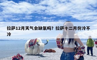 拉萨12月天气会缺氧吗？拉萨十二月份冷不冷