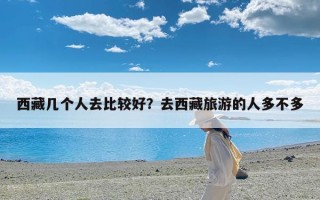 西藏几个人去比较好？去西藏旅游的人多不多