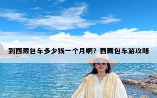 到西藏包车多少钱一个月啊？西藏包车游攻略