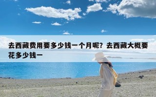 去西藏费用要多少钱一个月呢？去西藏大概要花多少钱一
