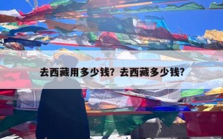 去西藏用多少钱？去西藏多少钱?