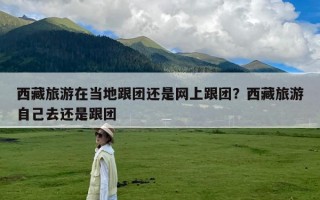 西藏旅游在当地跟团还是网上跟团？西藏旅游自己去还是跟团