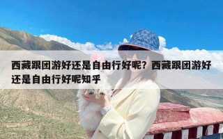 西藏跟团游好还是自由行好呢？西藏跟团游好还是自由行好呢知乎
