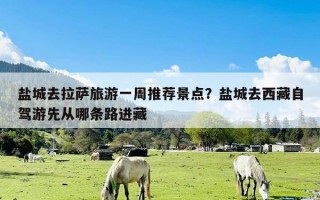 盐城去拉萨旅游一周推荐景点？盐城去西藏自驾游先从哪条路进藏