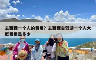 去西藏一个人的费用？去西藏自驾游一个人大概费用是多少