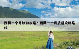 西藏一个月旅游攻略？西藏一个月旅游攻略路线