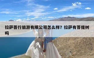 拉萨菩行旅游有限公司怎么样？拉萨有菩提树吗