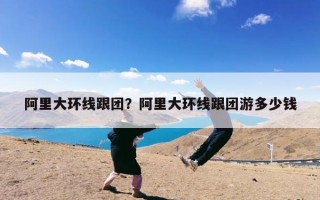 阿里大环线跟团？阿里大环线跟团游多少钱
