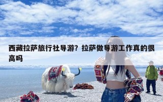 西藏拉萨旅行社导游？拉萨做导游工作真的很高吗