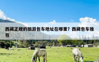 西藏正规的旅游包车地址在哪里？西藏包车推荐