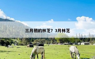 三月初的林芝？3月林芝
