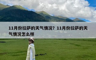 11月份拉萨的天气情况？11月份拉萨的天气情况怎么样