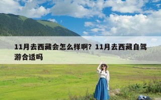 11月去西藏会怎么样啊？11月去西藏自驾游合适吗