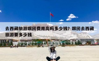 去西藏旅游跟团费用高吗多少钱？跟团去西藏旅游要多少钱