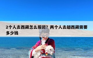 2个人去西藏怎么报团？两个人去趟西藏需要多少钱