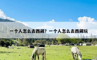 一个人怎么去西藏？一个人怎么去西藏玩
