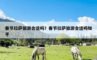 春节拉萨旅游合适吗？春节拉萨旅游合适吗知乎