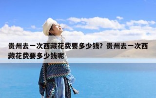 贵州去一次西藏花费要多少钱？贵州去一次西藏花费要多少钱呢