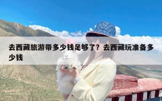 去西藏旅游带多少钱足够了？去西藏玩准备多少钱