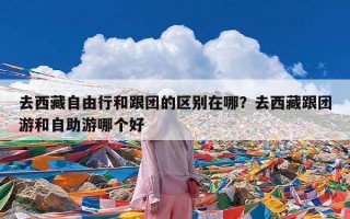 去西藏自由行和跟团的区别在哪？去西藏跟团游和自助游哪个好