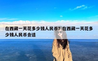 在西藏一天花多少钱人民币？在西藏一天花多少钱人民币合适