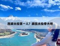 西藏太极第一人？藏族太极拳大师