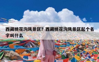 西藏桃花沟风景区？西藏桃花沟风景区起个名字叫什么