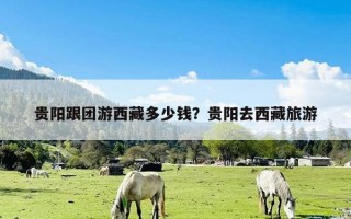 贵阳跟团游西藏多少钱？贵阳去西藏旅游