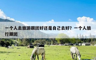 一个人去旅游跟团好还是自己去好？一个人旅行跟团