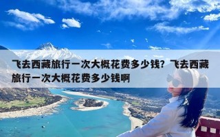飞去西藏旅行一次大概花费多少钱？飞去西藏旅行一次大概花费多少钱啊