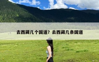 去西藏几个国道？去西藏几条国道
