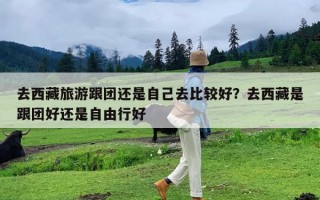 去西藏旅游跟团还是自己去比较好？去西藏是跟团好还是自由行好