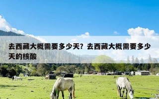 去西藏大概需要多少天？去西藏大概需要多少天的核酸